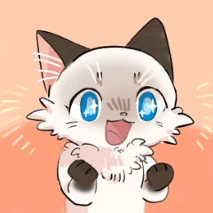 [LINEスタンプ] ポイント猫ちゃんスタンプ