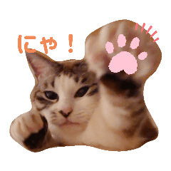 [LINEスタンプ] ぐうたらのあたこ