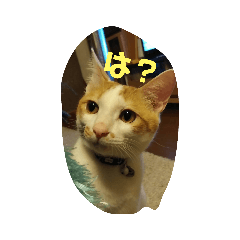 [LINEスタンプ] はなとこむぎ