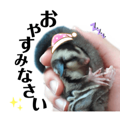 [LINEスタンプ] Happy フクロモモンガ 2