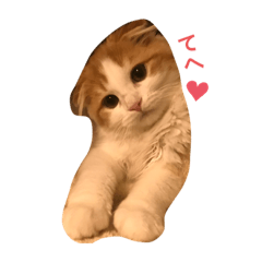 [LINEスタンプ] 子猫のロイぼうや♪