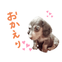 [LINEスタンプ] むぎむぎこ