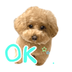 [LINEスタンプ] ムギちゃん！
