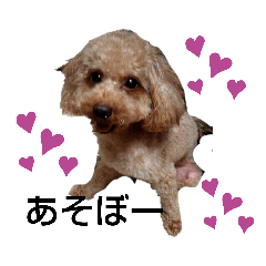 [LINEスタンプ] 愉快な動物runa