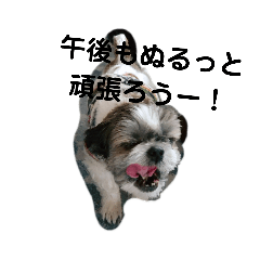 [LINEスタンプ] コテツ(日常編)