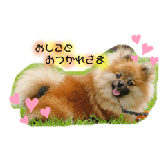 [LINEスタンプ] おとぼけエルちゃん
