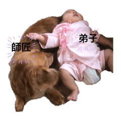 [LINEスタンプ] 愛されひまりのスタンプ