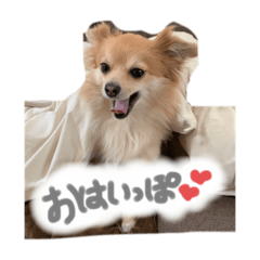 [LINEスタンプ] ぽっぽぽぽ