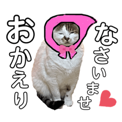[LINEスタンプ] ワカメ②