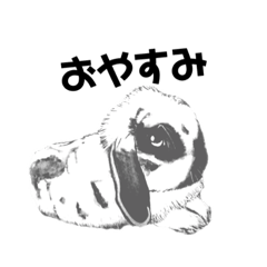 [LINEスタンプ] 岡山ドロップのうさぎ