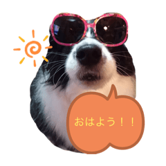 [LINEスタンプ] もふもふかねっと