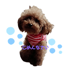 [LINEスタンプ] ナラ ファミリー
