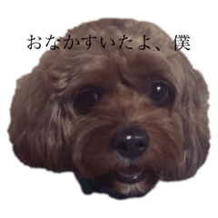 [LINEスタンプ] だふさんのカワイイスタンプ