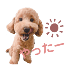 [LINEスタンプ] むぎちゃんスタンプ♡