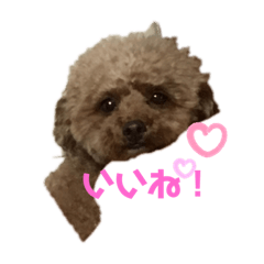 [LINEスタンプ] nara family2