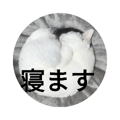 [LINEスタンプ] まるミラ