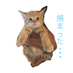 [LINEスタンプ] みちょの助みちょ太郎