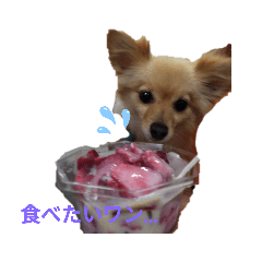 [LINEスタンプ] まろん君スタンプだワン