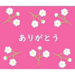 [LINEスタンプ] ポストカード風お祝いスタンプ