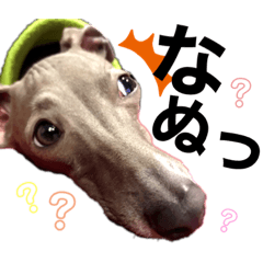 [LINEスタンプ] 日々サニー