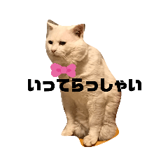 [LINEスタンプ] にゃんスタンプ2