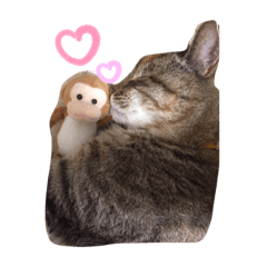 [LINEスタンプ] ぐう時々こたろう