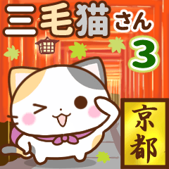 [LINEスタンプ] 京都の三毛猫さん3の画像（メイン）