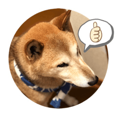 [LINEスタンプ] mairo❤︎