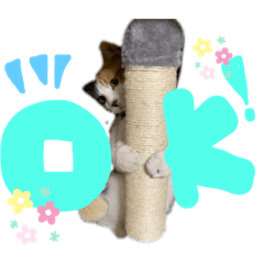 [LINEスタンプ] 愛しのきなちゃスタンプ