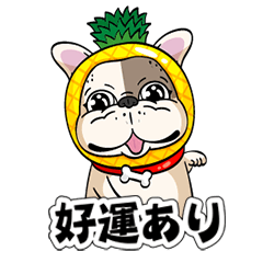 [LINEスタンプ] 汪來汪趣_wdog (挨拶編)