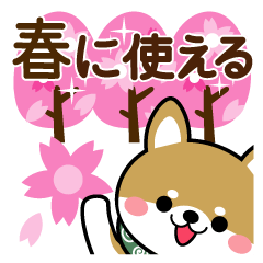 [LINEスタンプ] 豆柴の春に使えるスタンプ【柴犬】