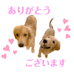[LINEスタンプ] マロンとピーチ
