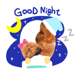 [LINEスタンプ] 仲良しケンちゃん