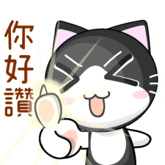 [LINEスタンプ] 猫の日常会話4.0─にぎやかな丸顔の猫