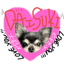 [LINEスタンプ] ワン！ダフル。