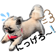 [LINEスタンプ] まんまるの気持ち3