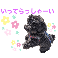[LINEスタンプ] 黒トイプ ぽんちゃんスタンプ2