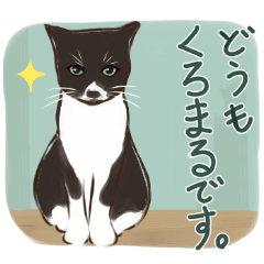 [LINEスタンプ] くろまるくんスタンプ