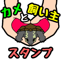 [LINEスタンプ] 亀と飼い主スタンプ