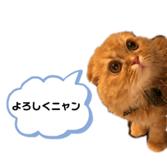 [LINEスタンプ] 銀さん金さん3