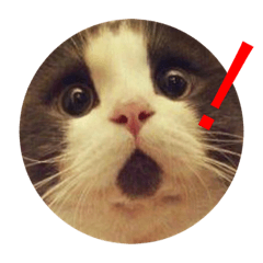 [LINEスタンプ] にゃんにゃんスタンプ。その1