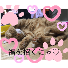 [LINEスタンプ] しんご♡