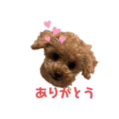 [LINEスタンプ] ももたん❣️ぺったん❣️