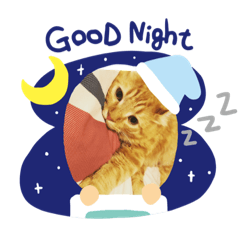 [LINEスタンプ] ほのぼーのねこ