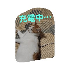 [LINEスタンプ] はな＆こむぎ