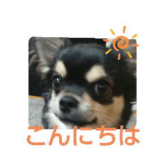 [LINEスタンプ] くみな