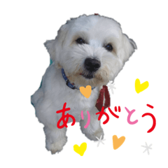 [LINEスタンプ] オレオ コタロウ2