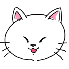 [LINEスタンプ] ニャンちゃんキャトちゃんスタンプ