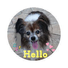 [LINEスタンプ] シャルルのスタンプ❤️