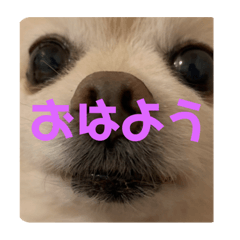 [LINEスタンプ] 奥山家スタンプ